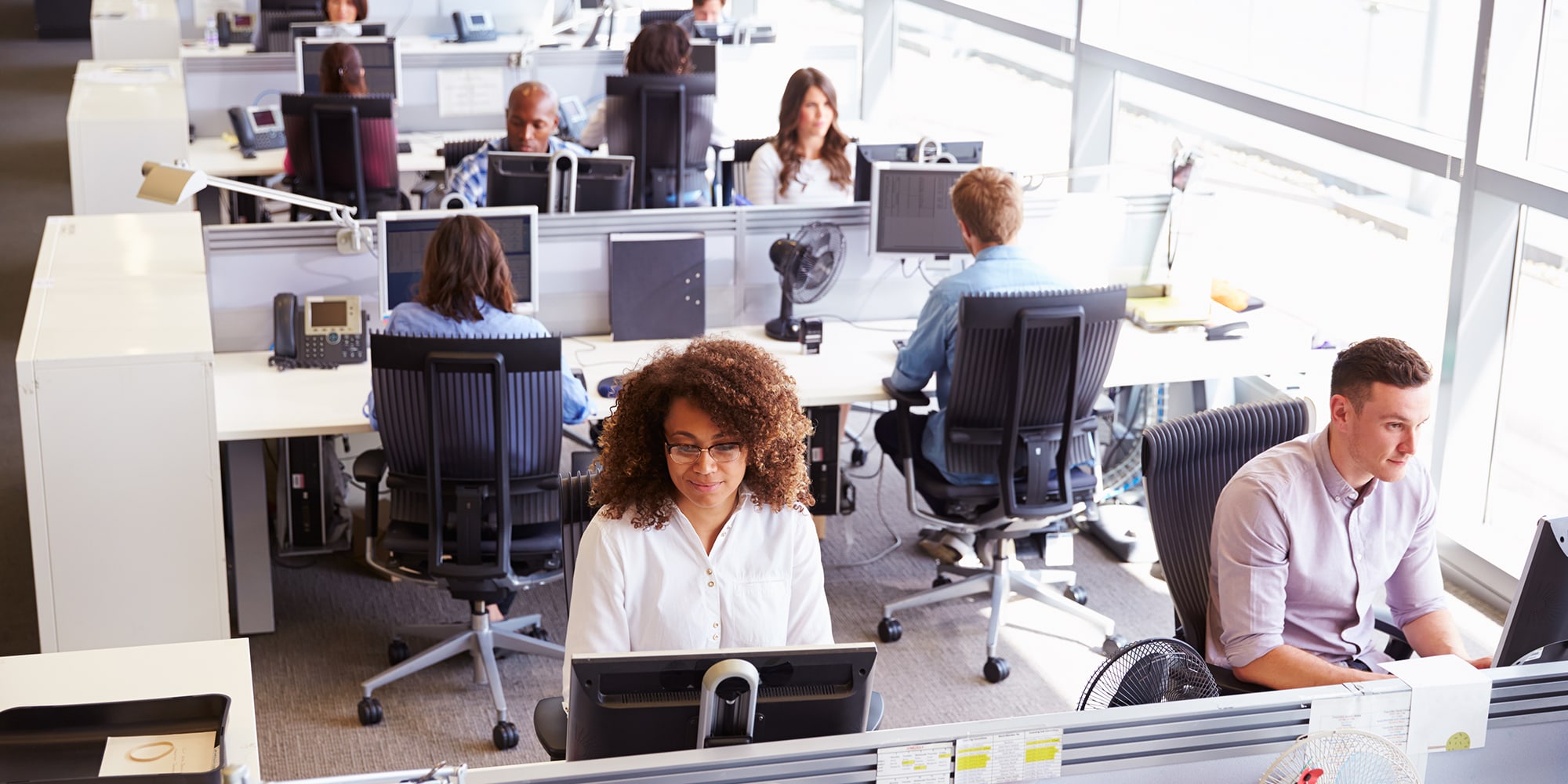 2019-12-office-workers.jpg